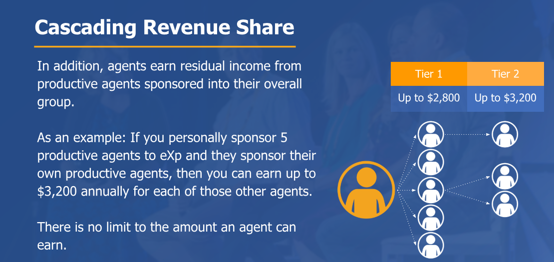 Exp Revenue Share Chart