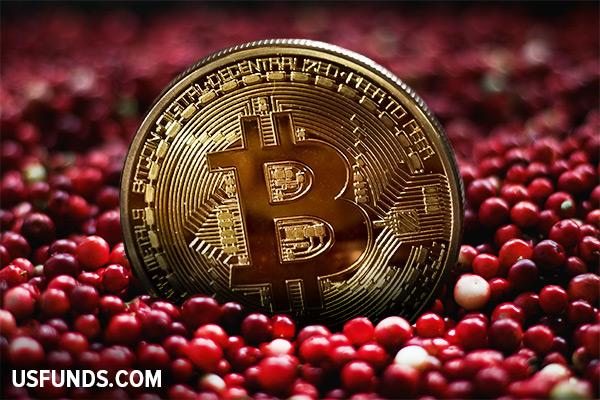 What Thanksgiving Cranberries and Bitcoin Have in Common