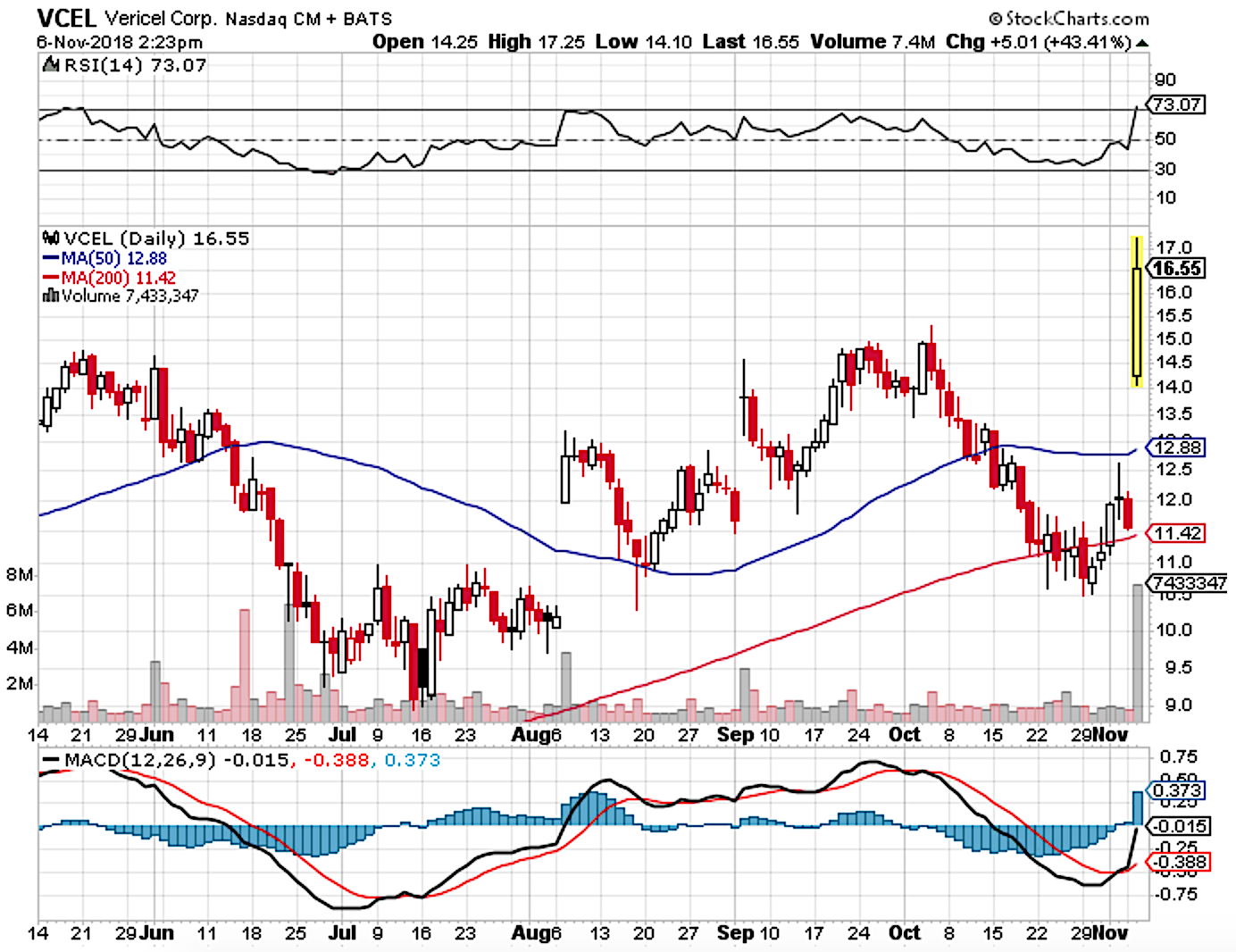 Ibi Reports On Vericel: Strong Earnings And Promising Prospects (nasdaq 