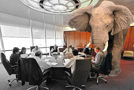 elephant-in-the-room51