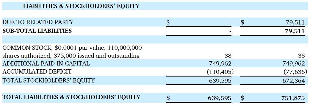 Shw ag ipo prospectus