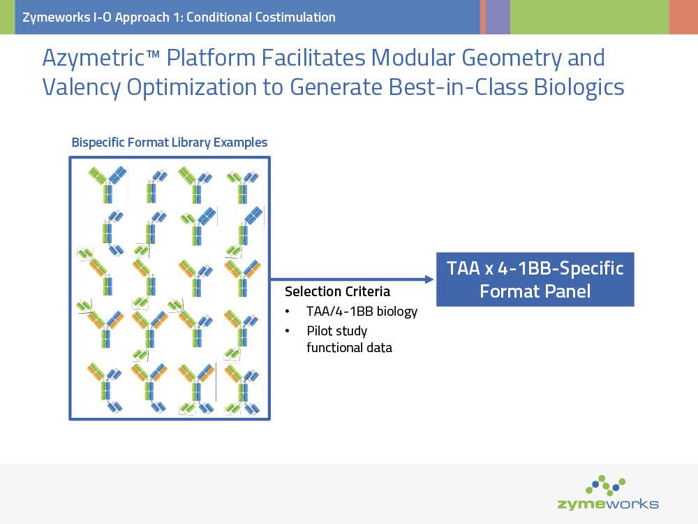 【美品本‼️】Analysis I Ⅱ (実解析) Zymeworks Inc.: A Blockbuster In The Making (NASDAQ:ZYME