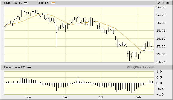 WisdomTree Bloomberg US Dollar Bullish Fund