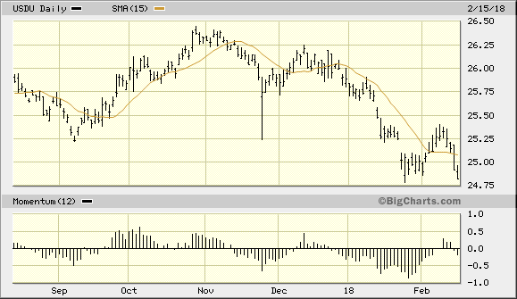 WisdomTree Bloomberg US Dollar Bullish Fund