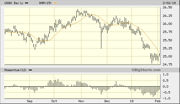 WisdomTree Bloomberg US Dollar Bullish Fund