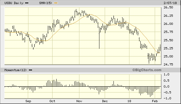 Bloomberg US Dollar Bullish Fund