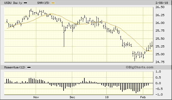 WisdomTree Bloomberg US Dollar Bullish Fund