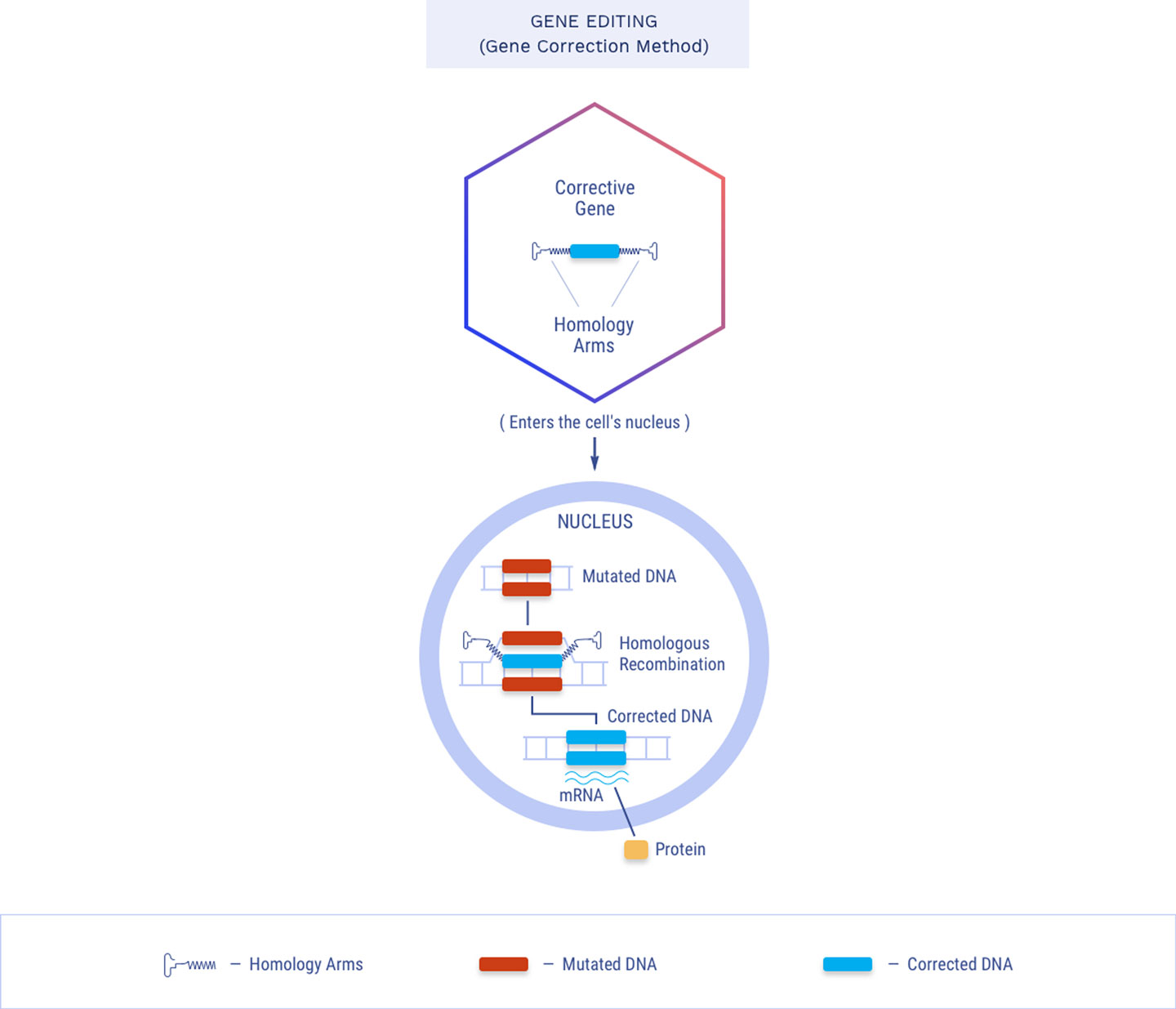 Recent Research Analysts' Ratings Updates for Esperion Therapeutics (ESPR)
