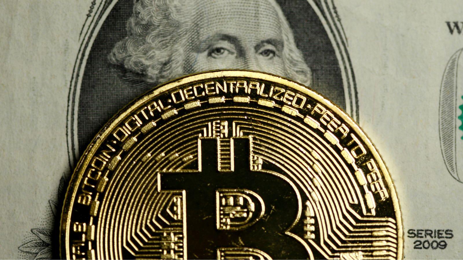 0.8 bitcoins to usd