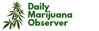 The Daily Marijuana Observer