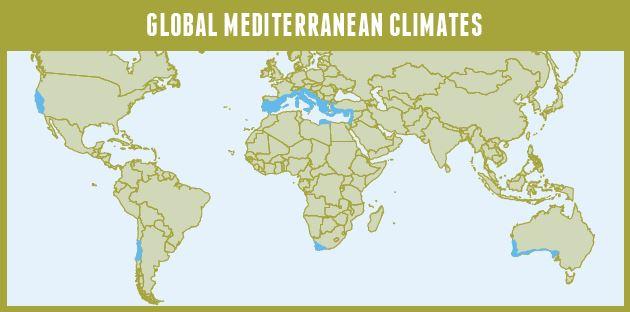 Image result for mediterranean climate map world
