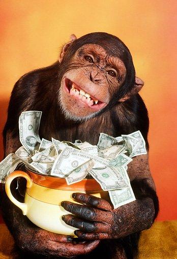 Monkey story on Stock Market dynamics!!