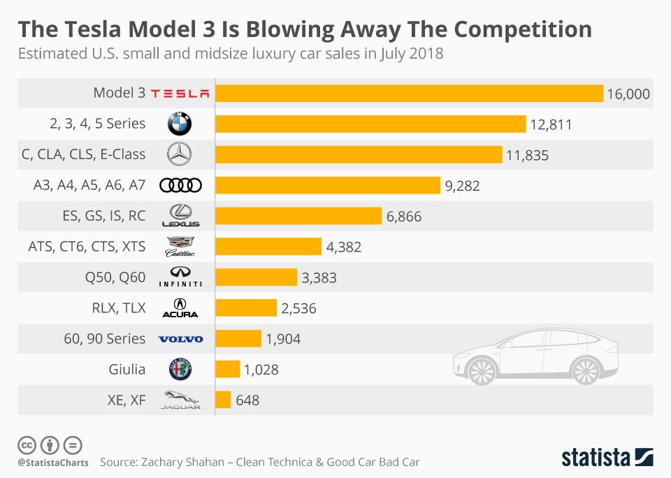 Tesla Size Chart