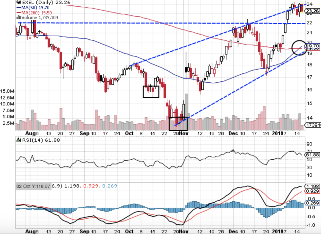 Exelixis Inc.: Time To Buy (NASDAQ:EXEL) | Seeking Alpha