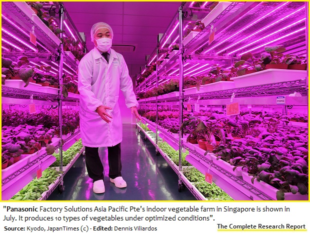 High-tech vegetable farms, vertical approach, ideal for production in cities, self-sustainability