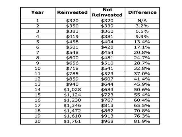 Dividends Reinvested