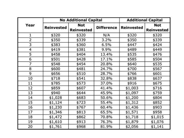 Dividend New Capital