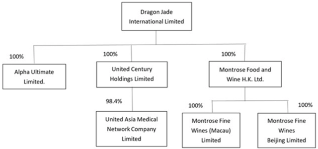 Dragon victory international limited ipo