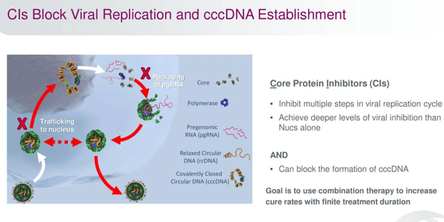 Assessing Assembly Biosciences (NASDAQ:ASMB) | Seeking Alpha