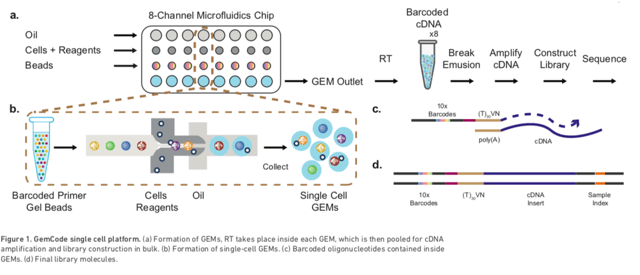 10x Genomics: Little Droplets Of Information (NASDAQ:TXG) | Seeking Alpha