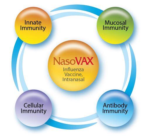 NasoVAX Vaccine Benefits