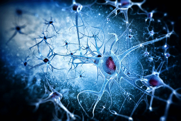 PrudentBiotech.com ~ Biotech Stocks - Brain Neurons