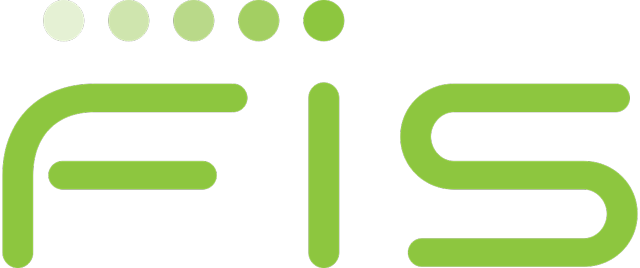 Fidelity national information services ipo