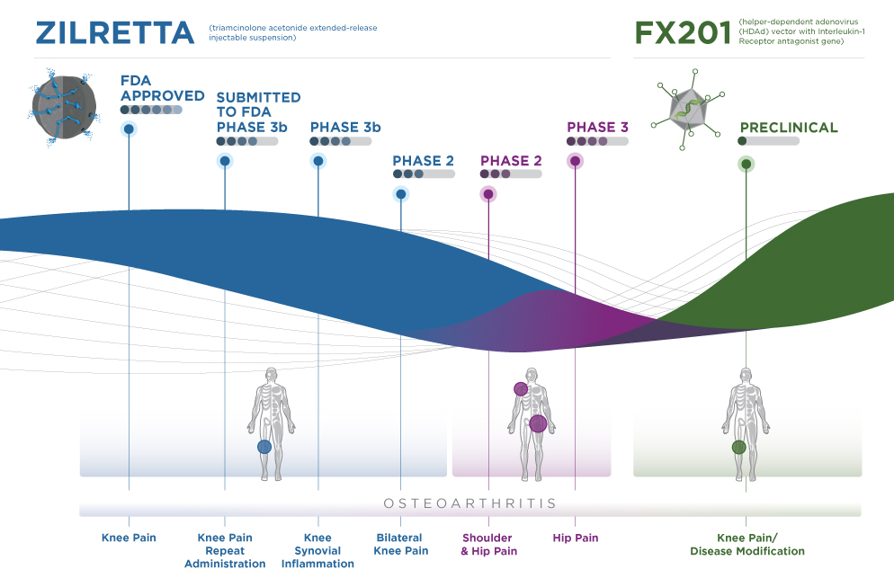 Flexion Therapeutics A Second (And More) Life For Zilretta (NASDAQPCRX) Seeking Alpha