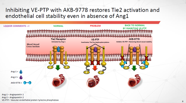 AKB-9778 restores Tie2 activation