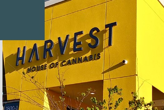 harvest health care