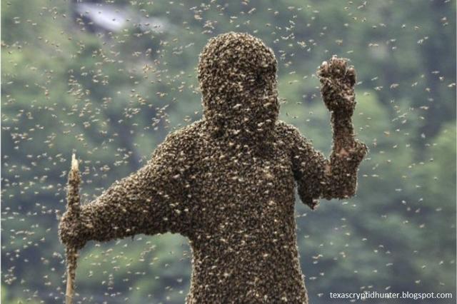 killer bees stung OXY Occidental Buffett Call Chevron CVX Anadarko APC Special Situation
