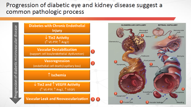Diabetic Eye and Kidney Disease