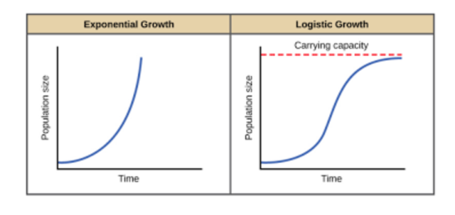 Predicting Disney+ And The Growth To Come (NYSE:DIS) | Seeking Alpha