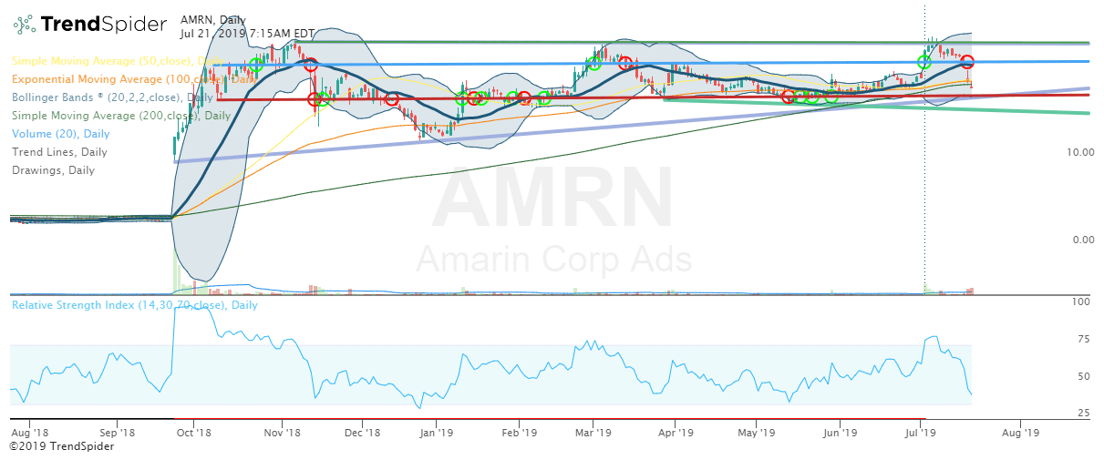 Amarin Vascepa Is Fully Fueled After Recent Offering (NASDAQAMRN