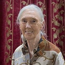 Jane-goodall.jpg