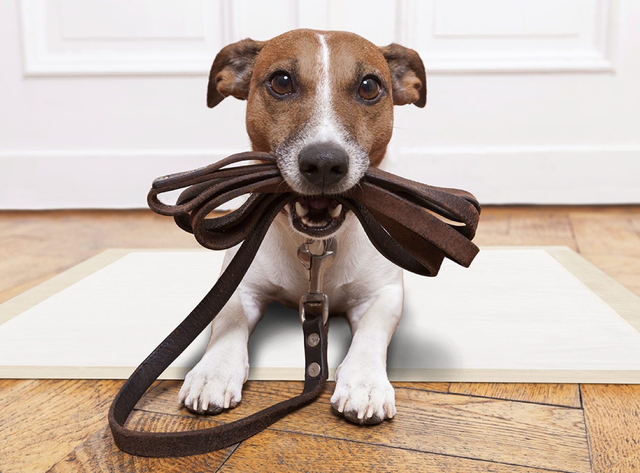 By The Book II The Growth At A Reasonable Price Strategy Seeking Alpha