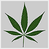 pot logo.gif