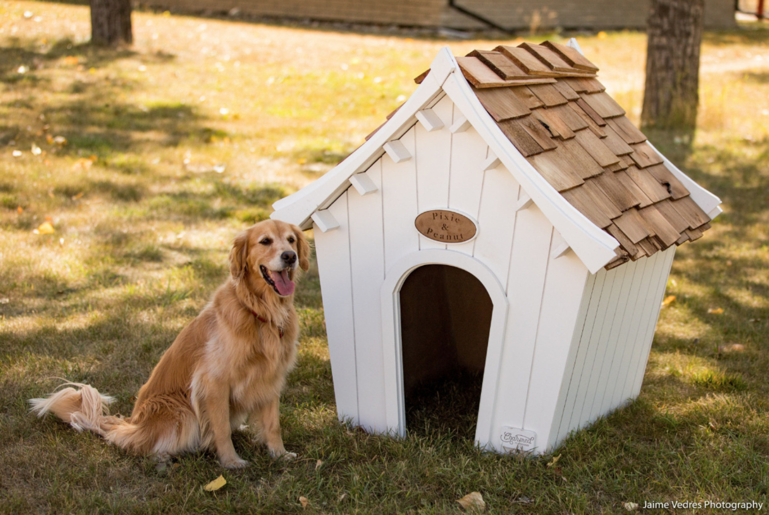 Играть в dog house dogs house net. Собака с конурой. Будка для собаки. Домик для собаки. Домики для домашних собак.
