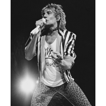 Image result for rod stewart singing reason to believe