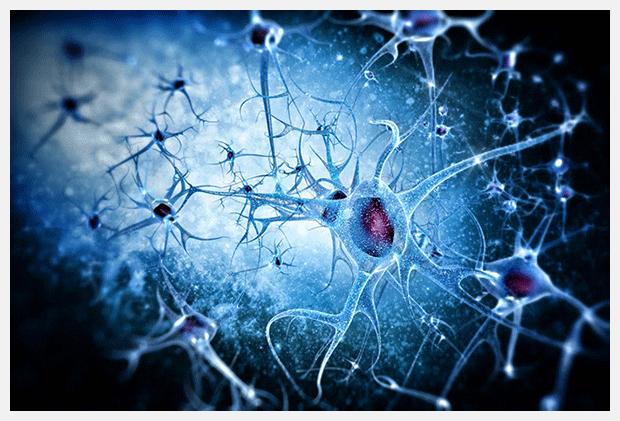 PrudentBiotech.com ~ Biotech Stocks - Brain Neurons