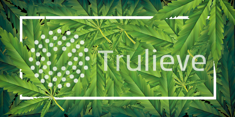 Cannabis Fundamentals With Kim Rivers Ceo Trulieve Podcast