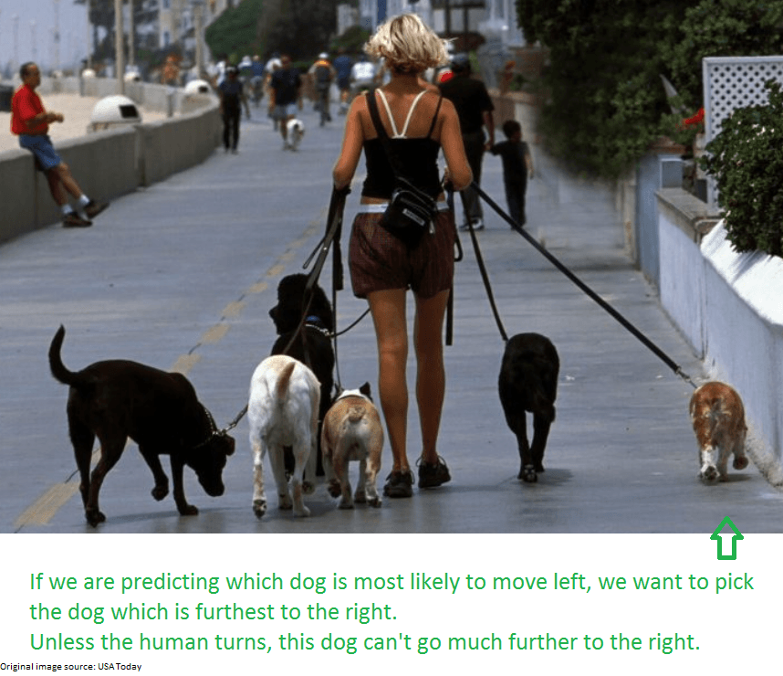 Put the dog. Take the Dog for a walk. Go Walking. Go for a walk with Dog. Take the Pet for a walk.