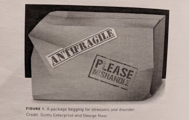 Please Mishandle Antifragile Package