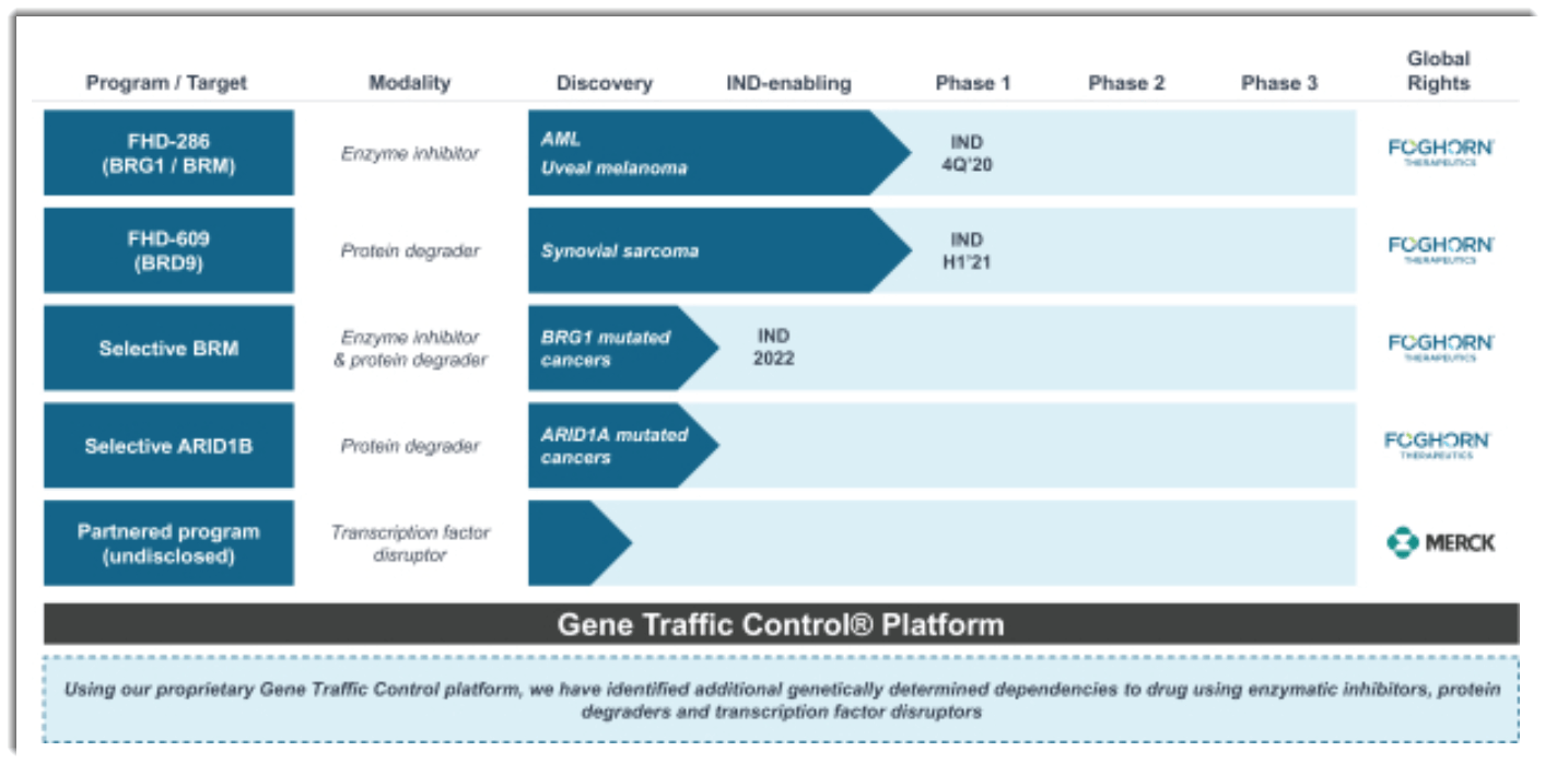 Foghorn Therapeutics Files Terms For $120 Million IPO (NASDAQ:FHTX ...