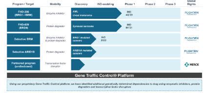 Berita Foghorn Therapeutics Sets Ipo Terms To Issue 7 5m Shares