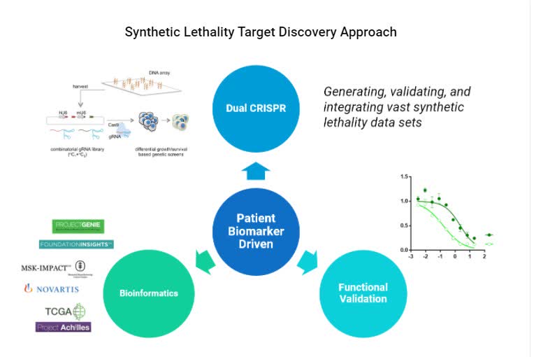 Ideaya inks research pact for Synthetic Lethal cancer platform (NASDAQ ...