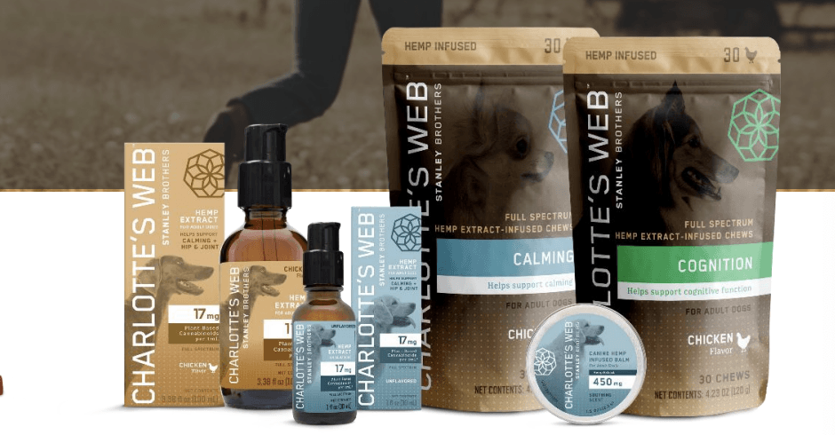 how do i buy charlotte's web stock