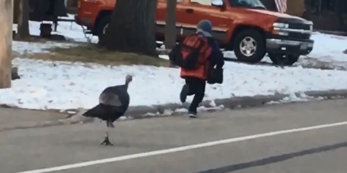 Don't Chase These Turkey Oil Stocks Seeking Alpha