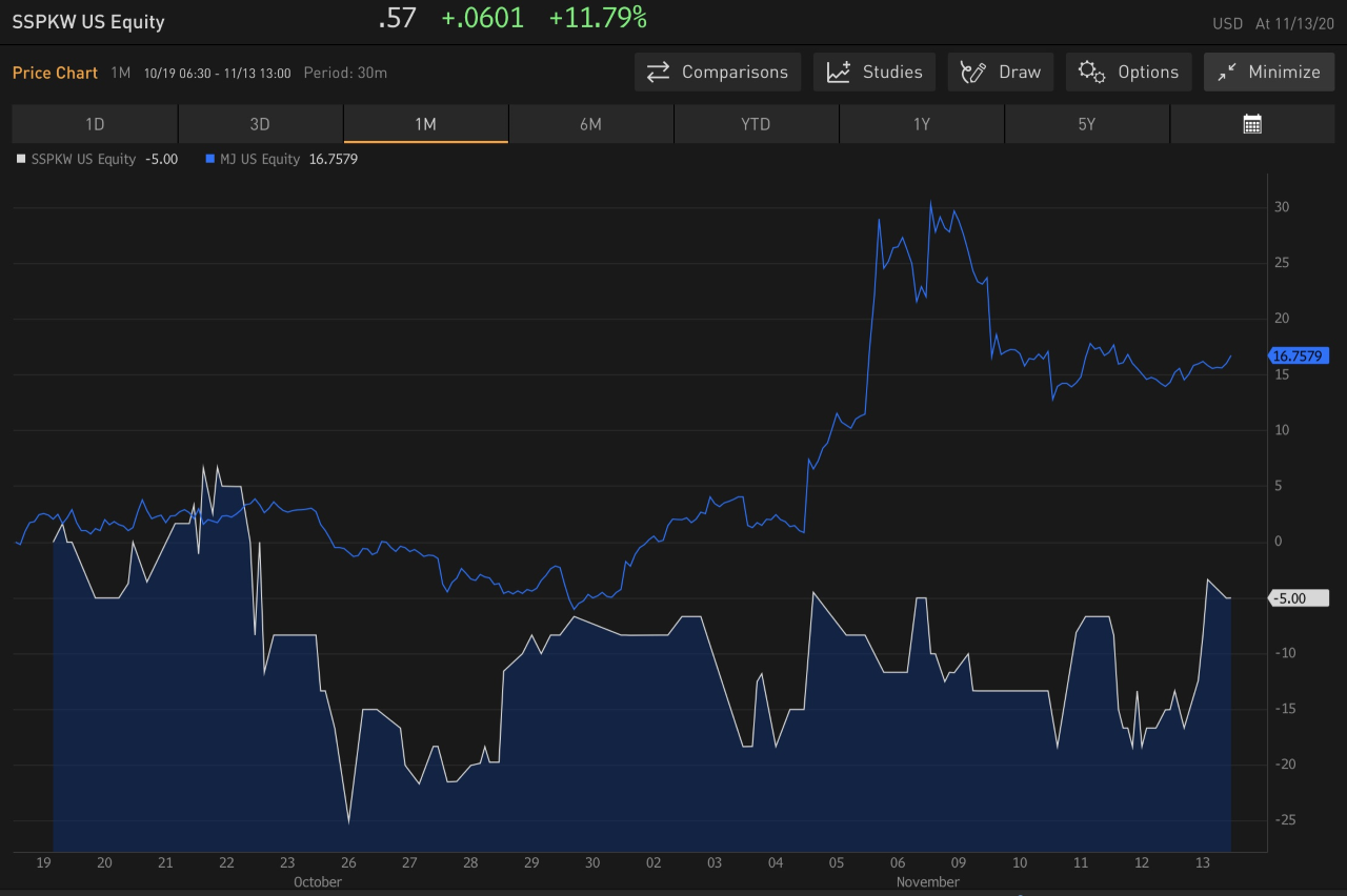 silver spike acquisition corp