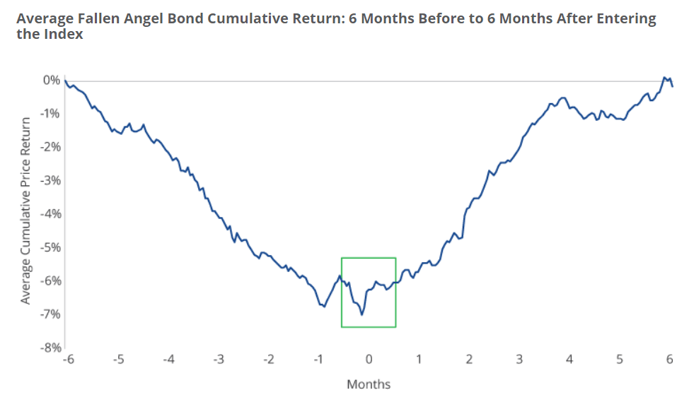 Angl Yield